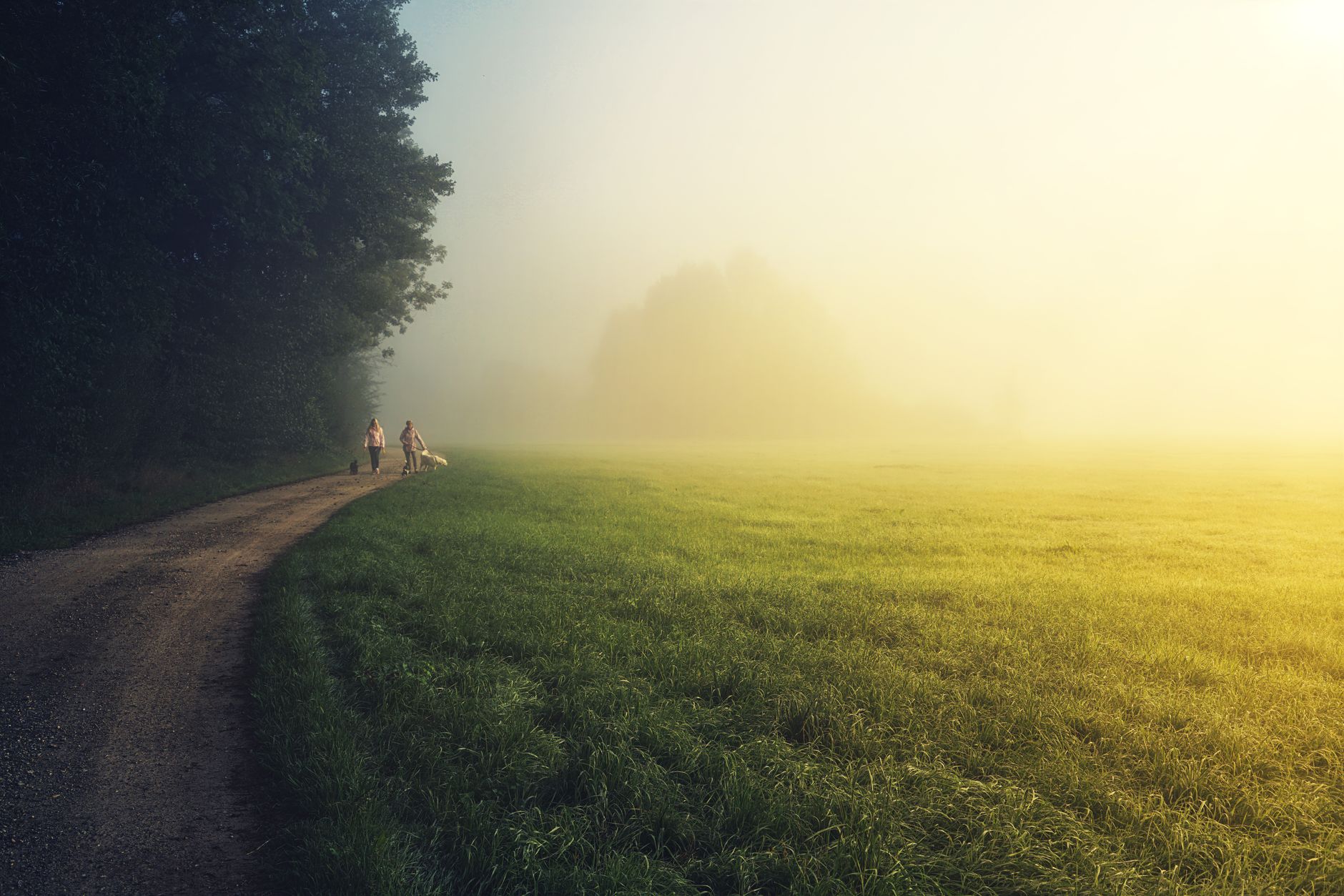 new beginning fresh start sunrise path change โ stock photo